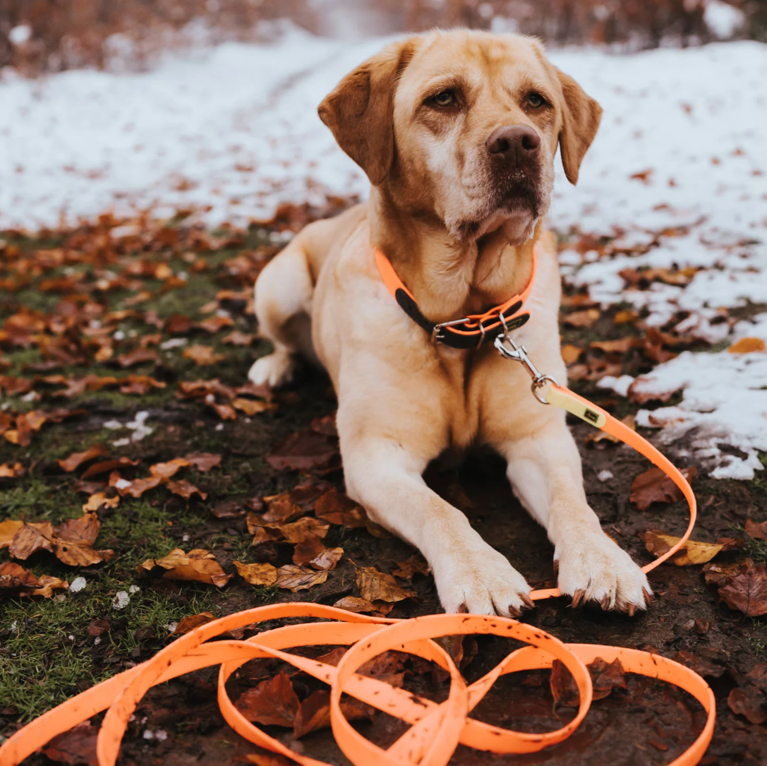 Training leash 5 meters "Hunter Tracking Leash Convenience"