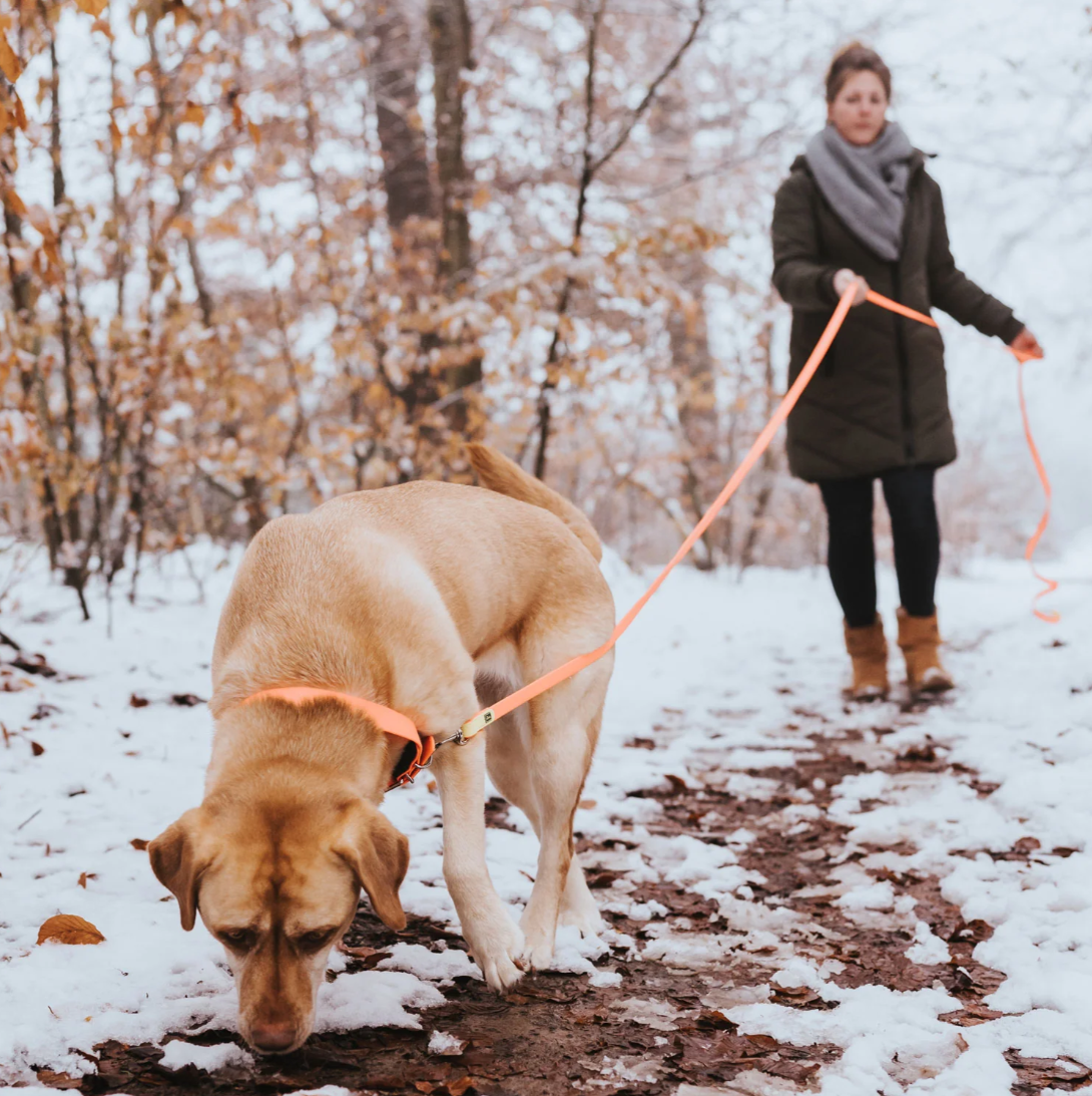 Training leash 5 meters "Hunter Tracking Leash Convenience"