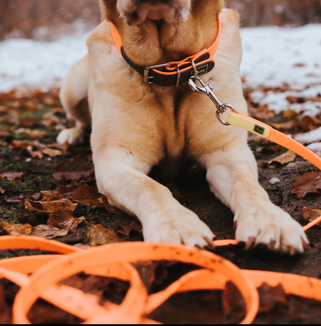 Dog collar "Hunter Collar Convenience"
