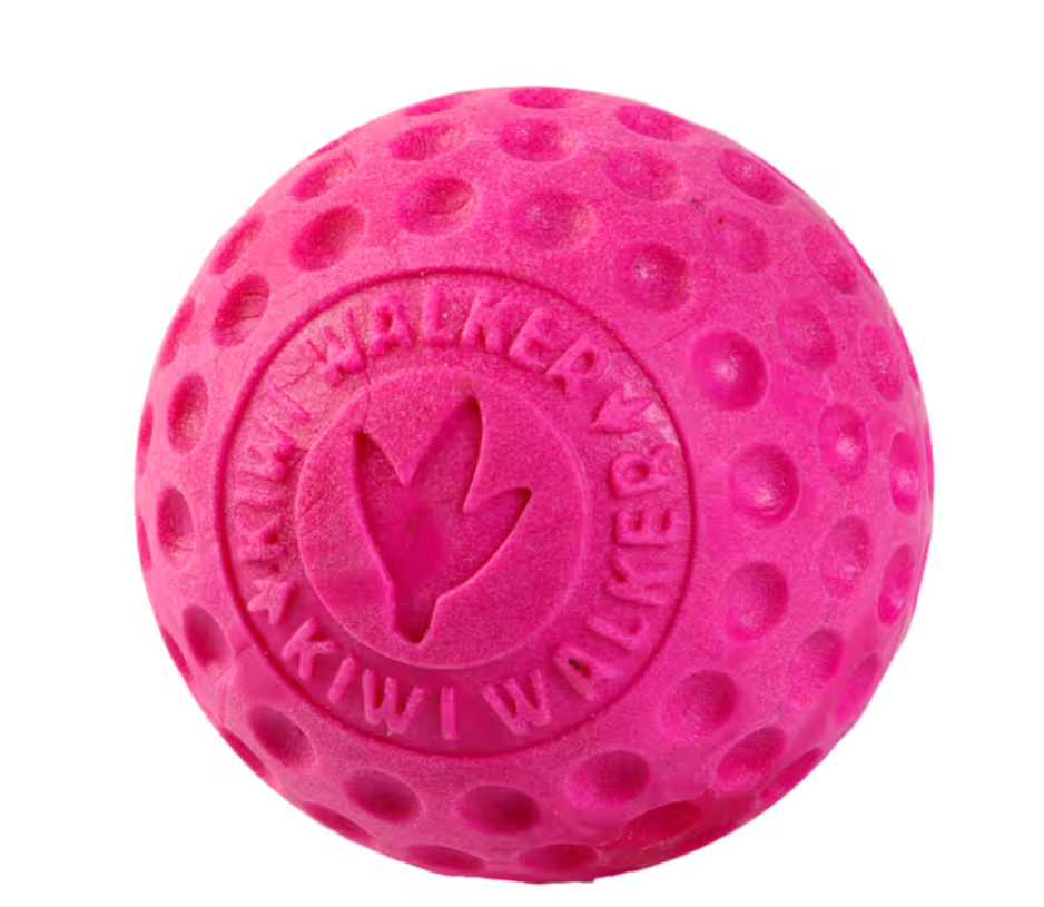 Toy "Kiwi Walker Let's Play Ball"