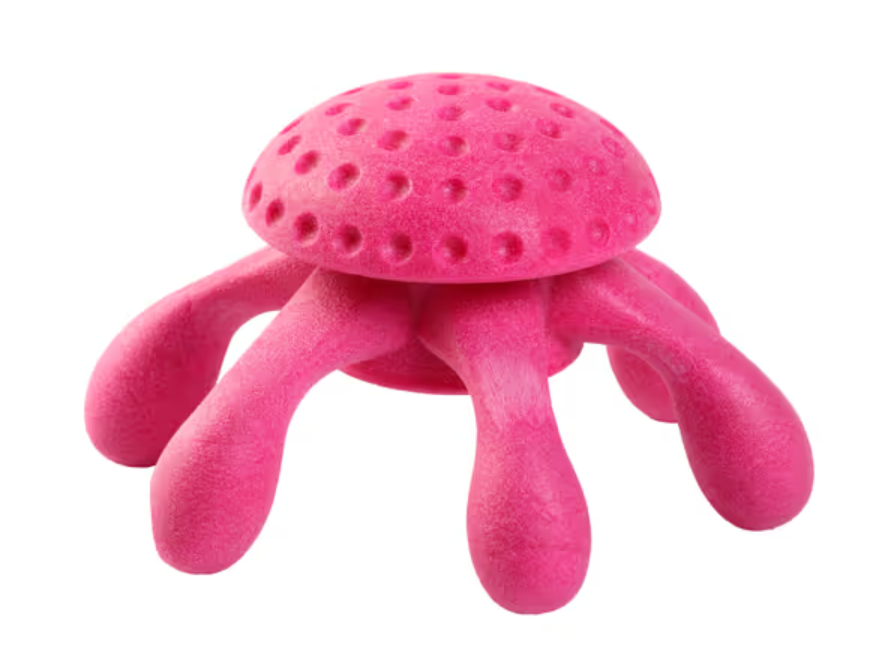Toy "Kiwi Walker Let's Play Octopus"