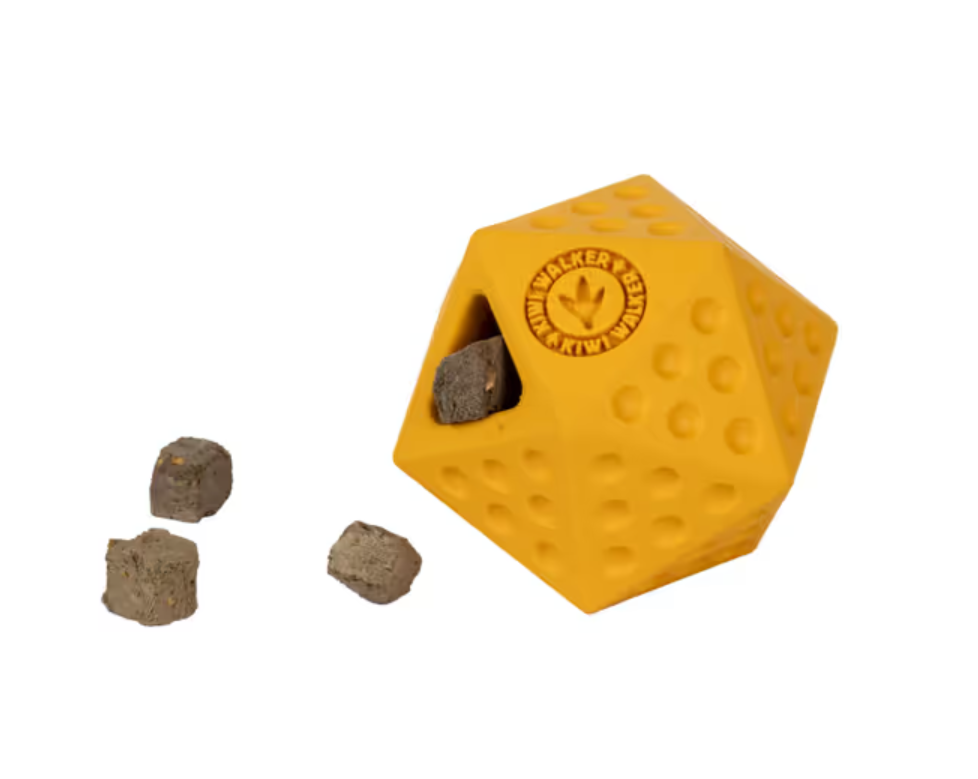 Toy "Kiwi Walker Icosaball"
