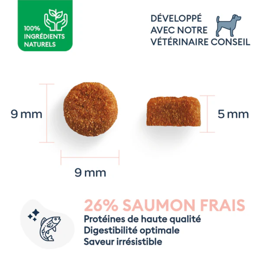 Marly & Dan Puppy Medium-Large Breed dry dog food