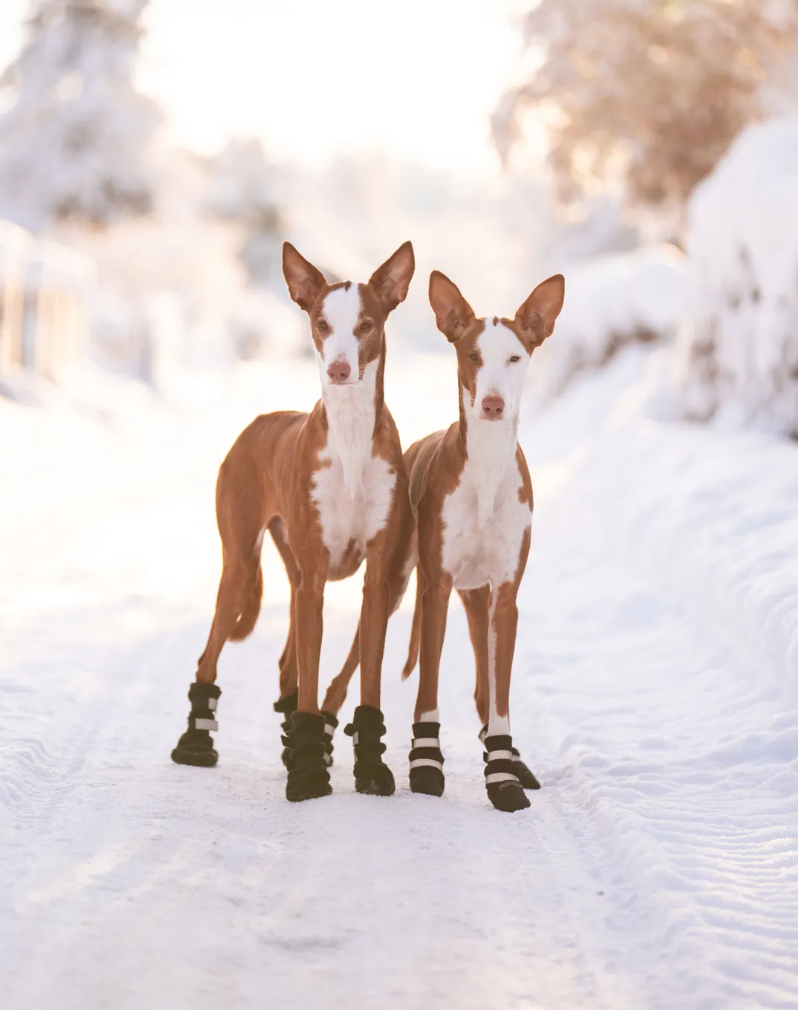 Dog boots "Rukka Thermal"
