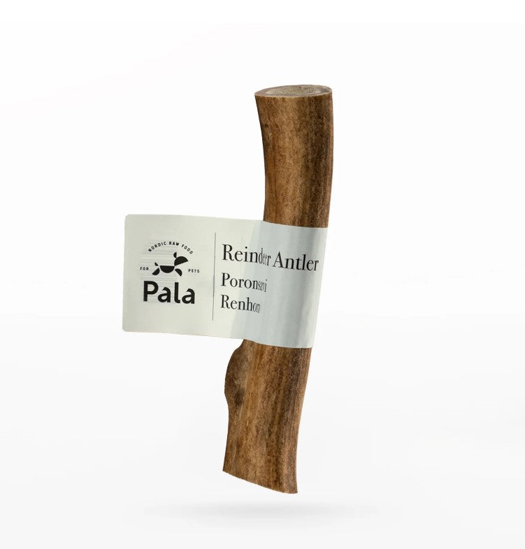 Reindeer antler "Pala"