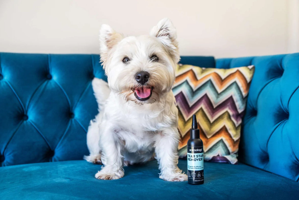 Tear Stain Remover for Dogs Animology Tear Stain Remover (100 ml)