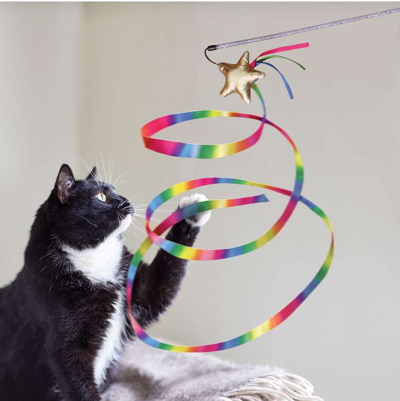 Toy "KONG Cat Teaser Stellar"