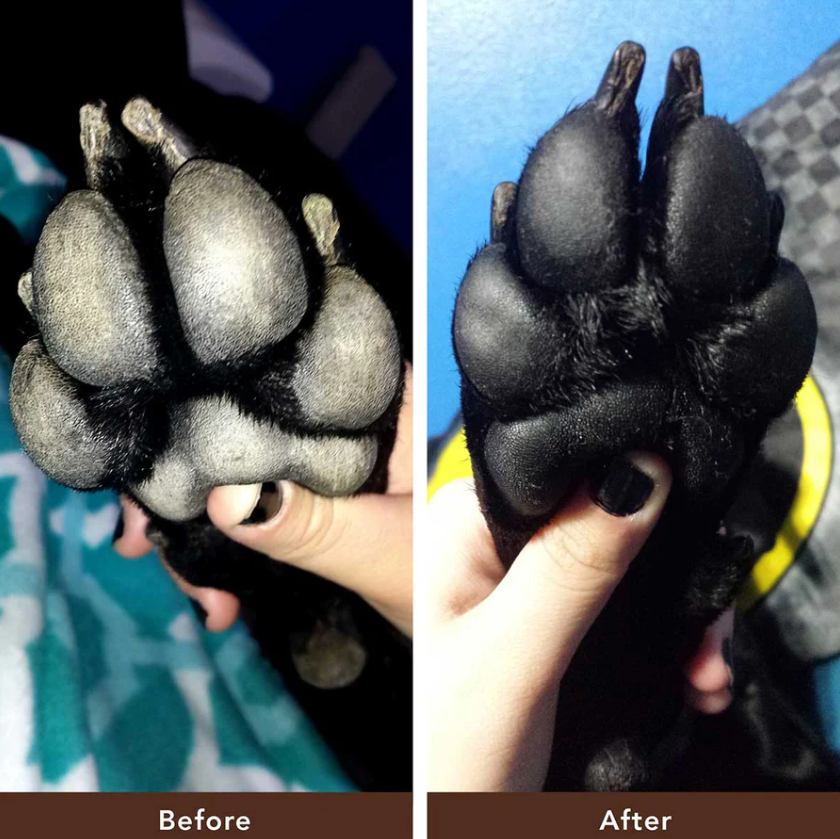 Natural Dog Company Pawtection Paw Protection Balm