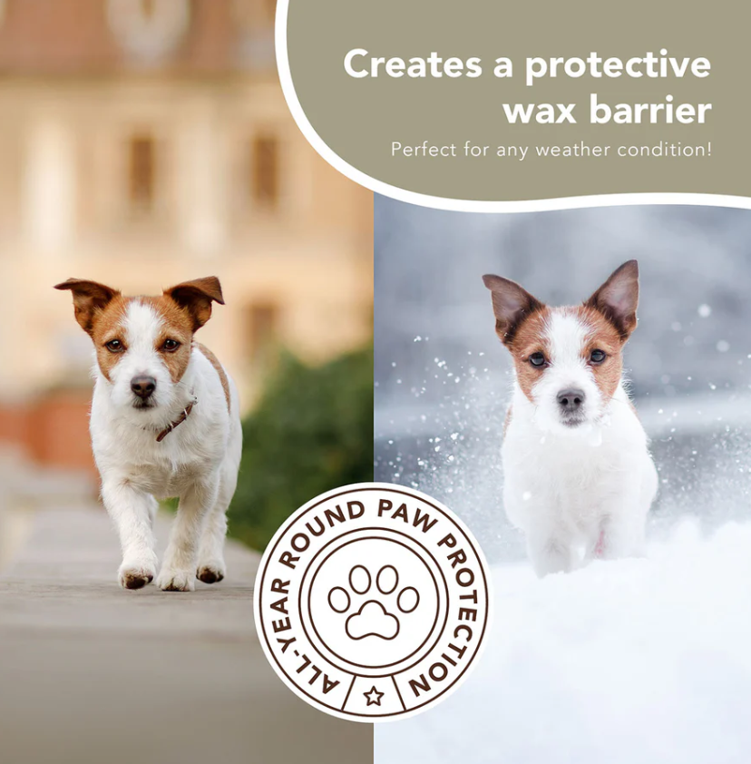Natural Dog Company Pawtection Paw Protection Balm