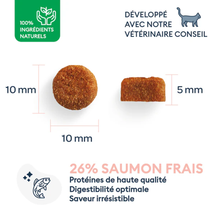 Marly & Dan Adult Cat dry food
