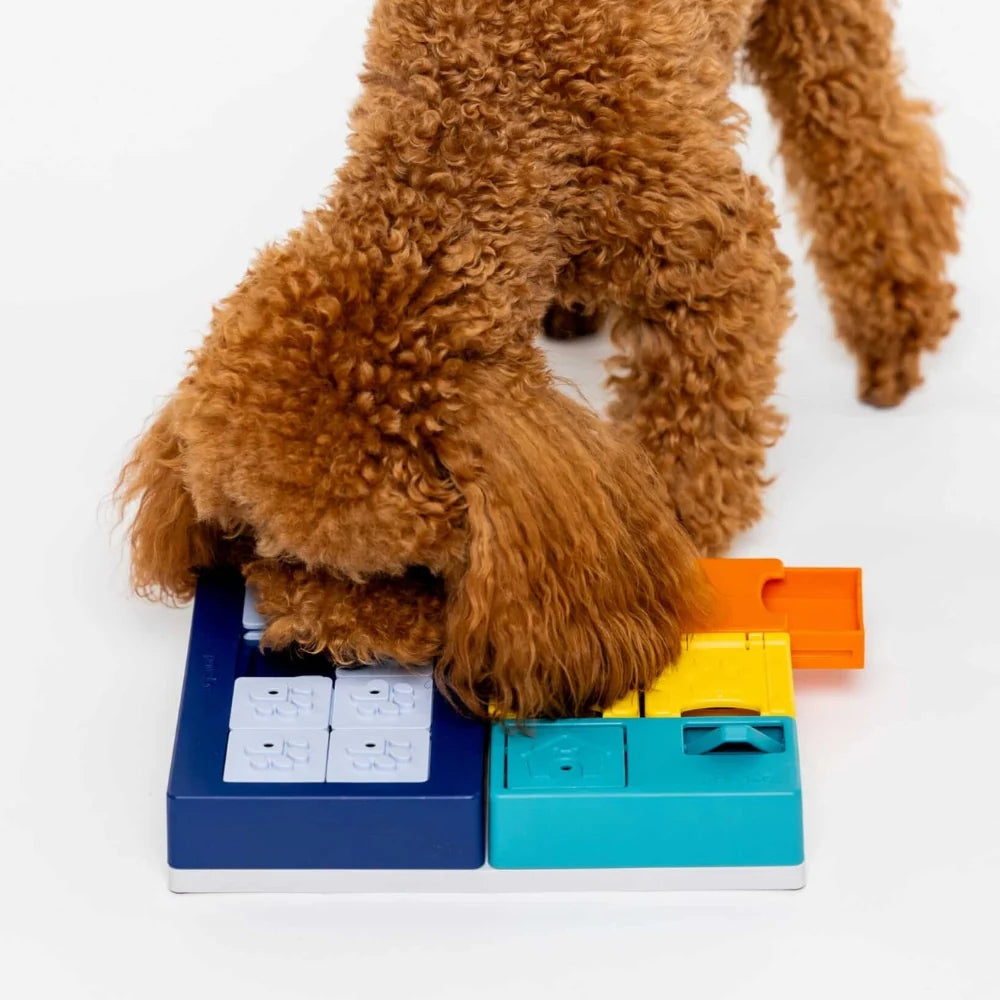 Pawzler Smarty Set puzzle for dogs