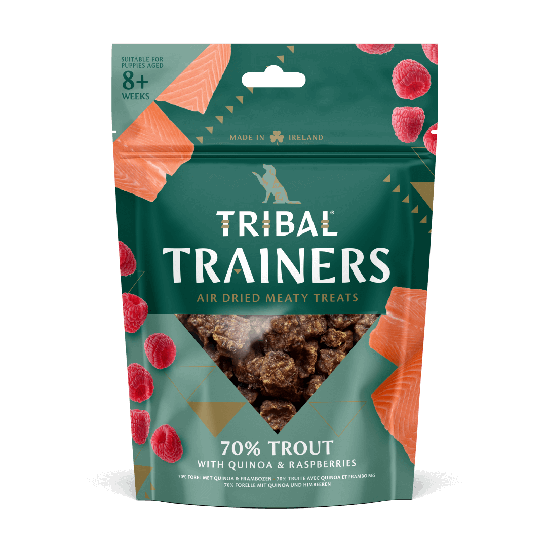 Tribal Trainers skanėstai šunims su upėtakiu ir avietėmis