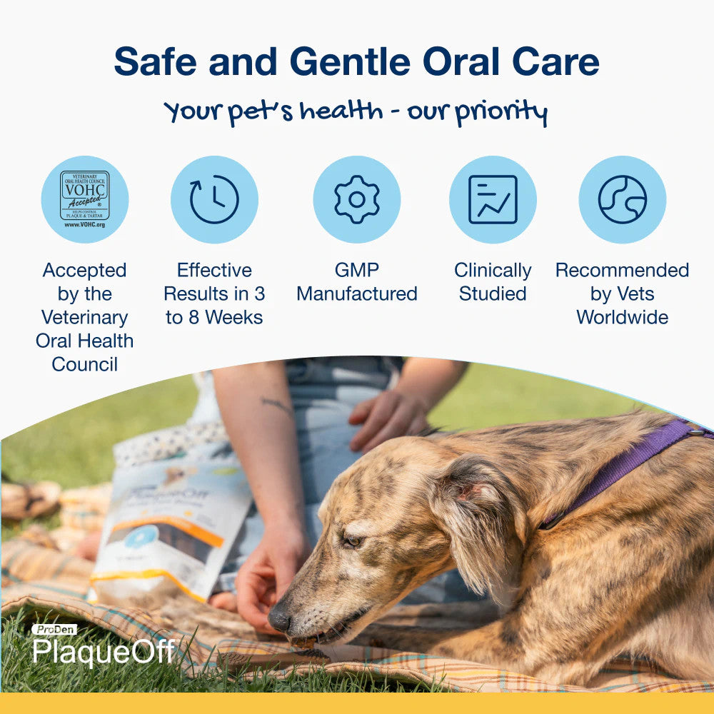 Dental Care Chews ProDen PlaqueOff for Medium and Large Dogs Turkey & Cranberry Flavor