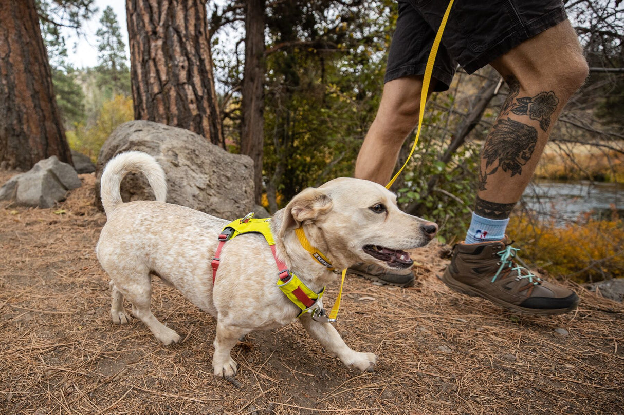 Ruffwear Hi & Light Braces