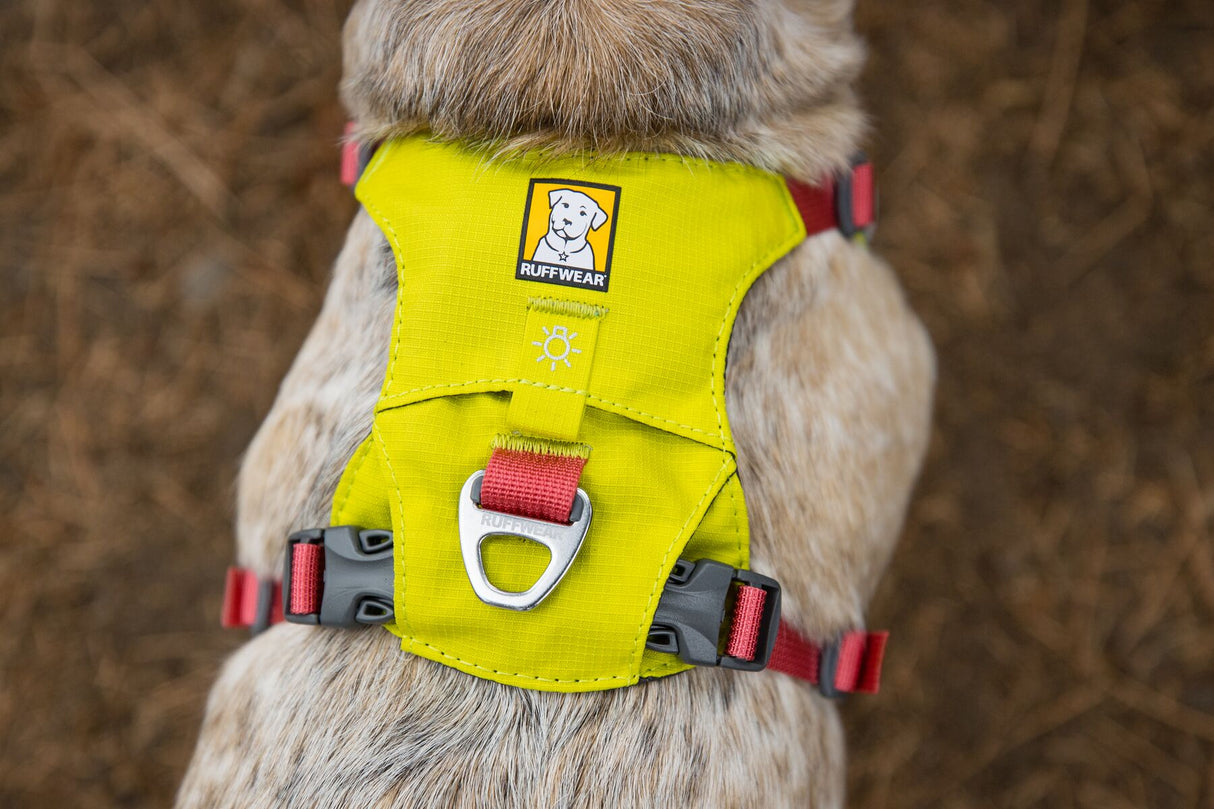 Ruffwear Hi & Light Braces