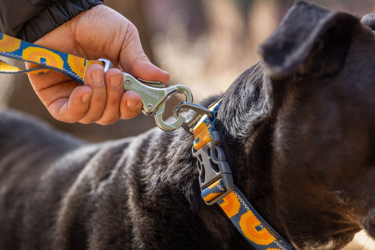 Leash "Ruffwear Crag"