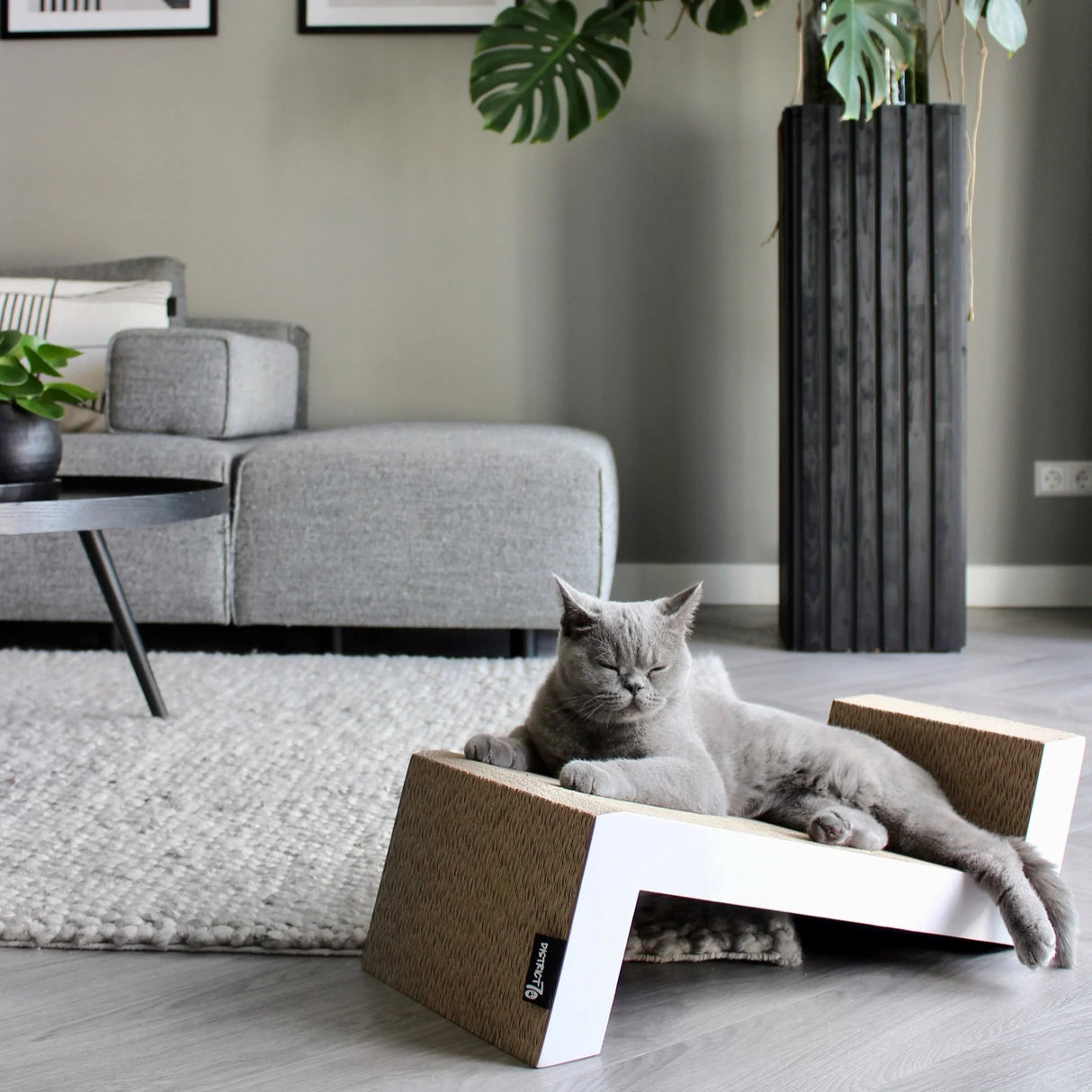 District 70 Sofa Cat Scratcher