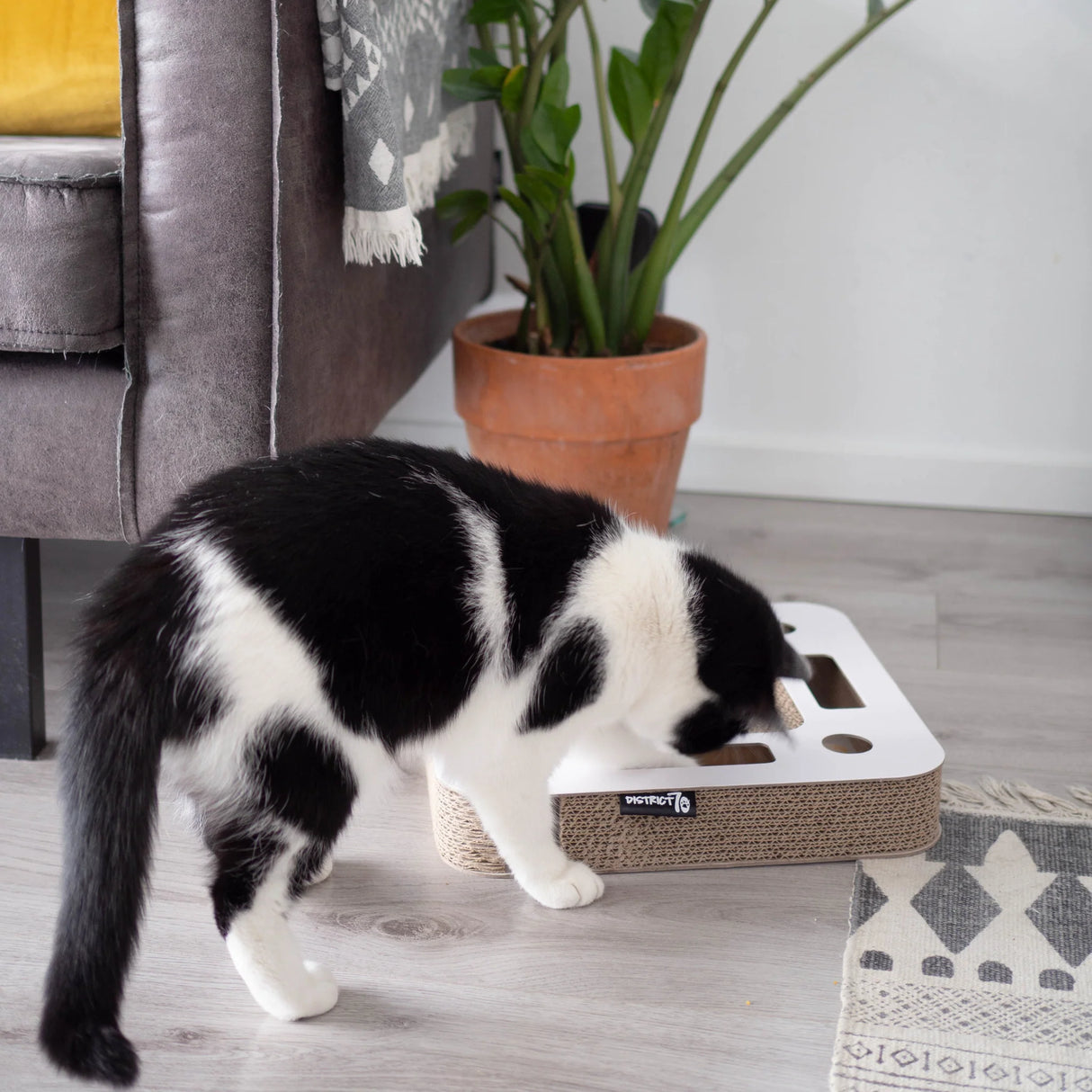 Multifunctional cat toy