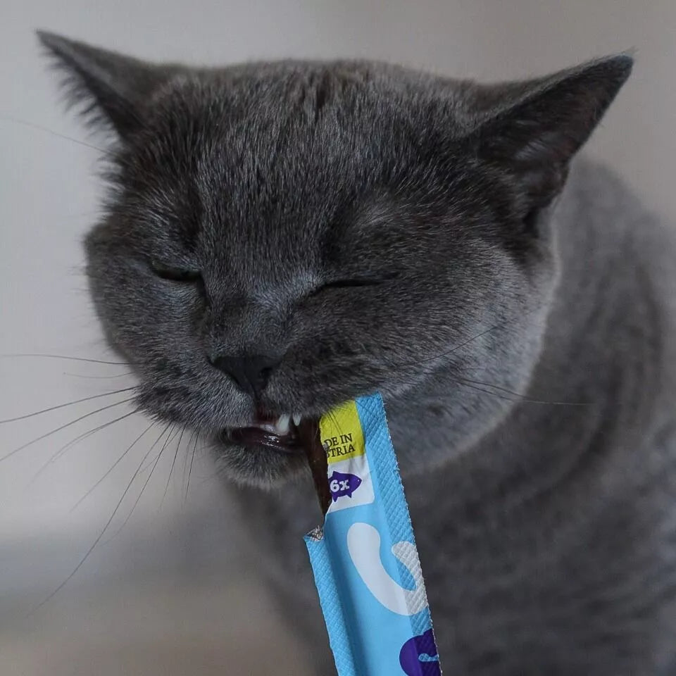 Wow Cat Soft Sticks cat treat soft sticks with salmon