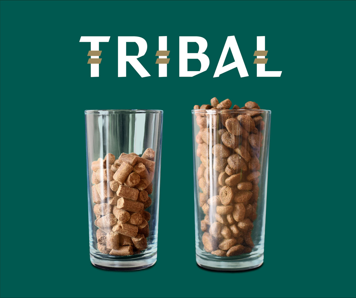 Tribal Fresh Pressed Cold Pressed Dry Food for Adult Dogs with Salmon