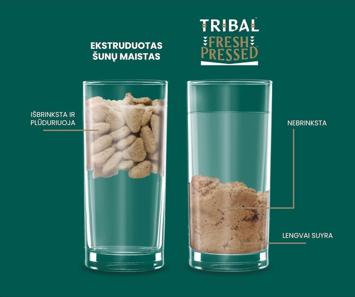 Tribal Fresh Pressed Cold Pressed Dry Food for Small Breed Adult Dogs with Salmon