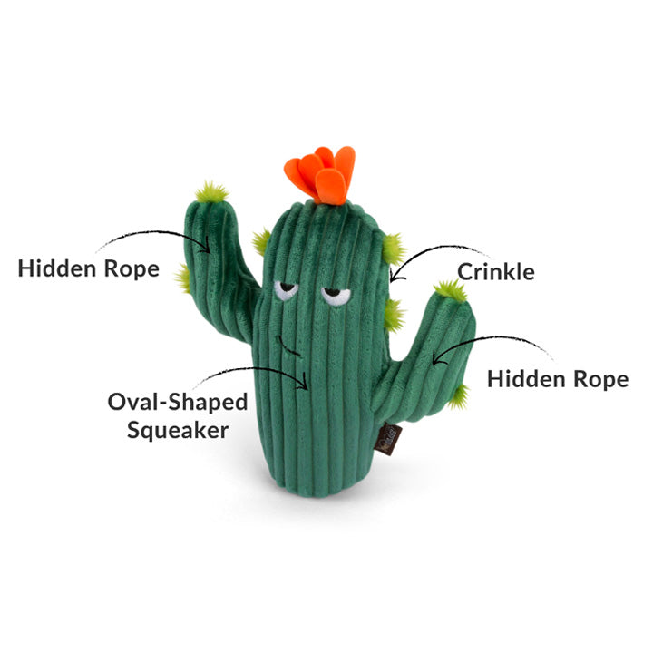 PLAY cactus "Prickly Pup Cactus"