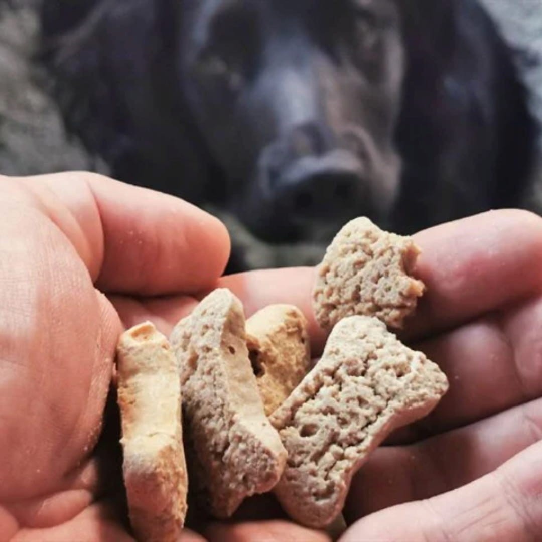 Tribal Rewards dog treats with tuna and olive oil