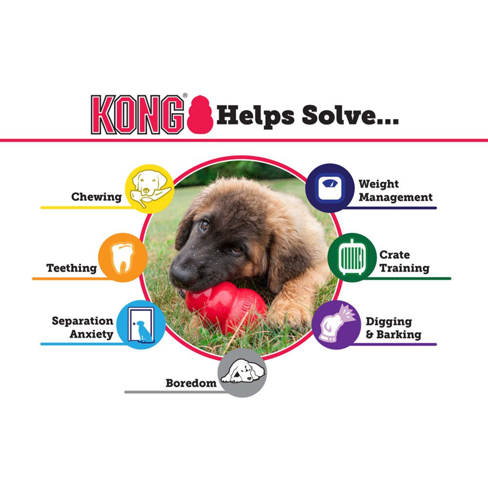 KONG Classic toy