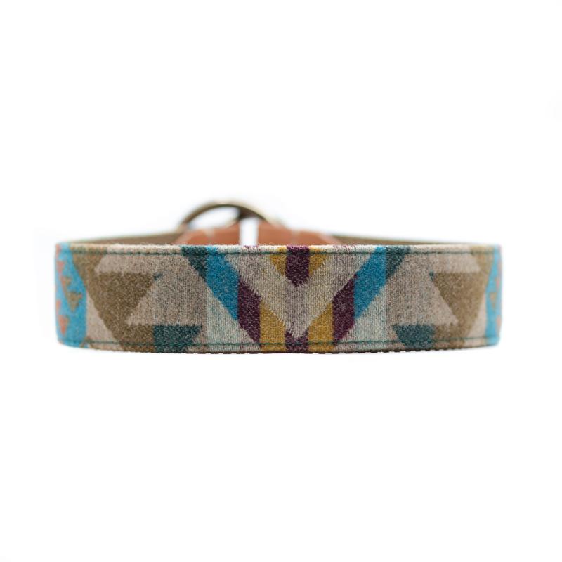 Moose Wears Juneau Collar