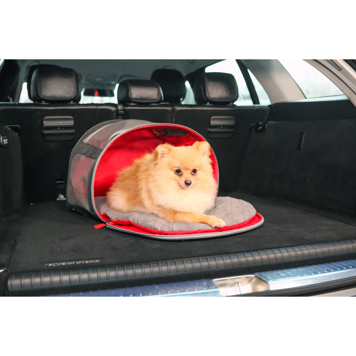 KONG 2-in-1 Travel Bag and Mat