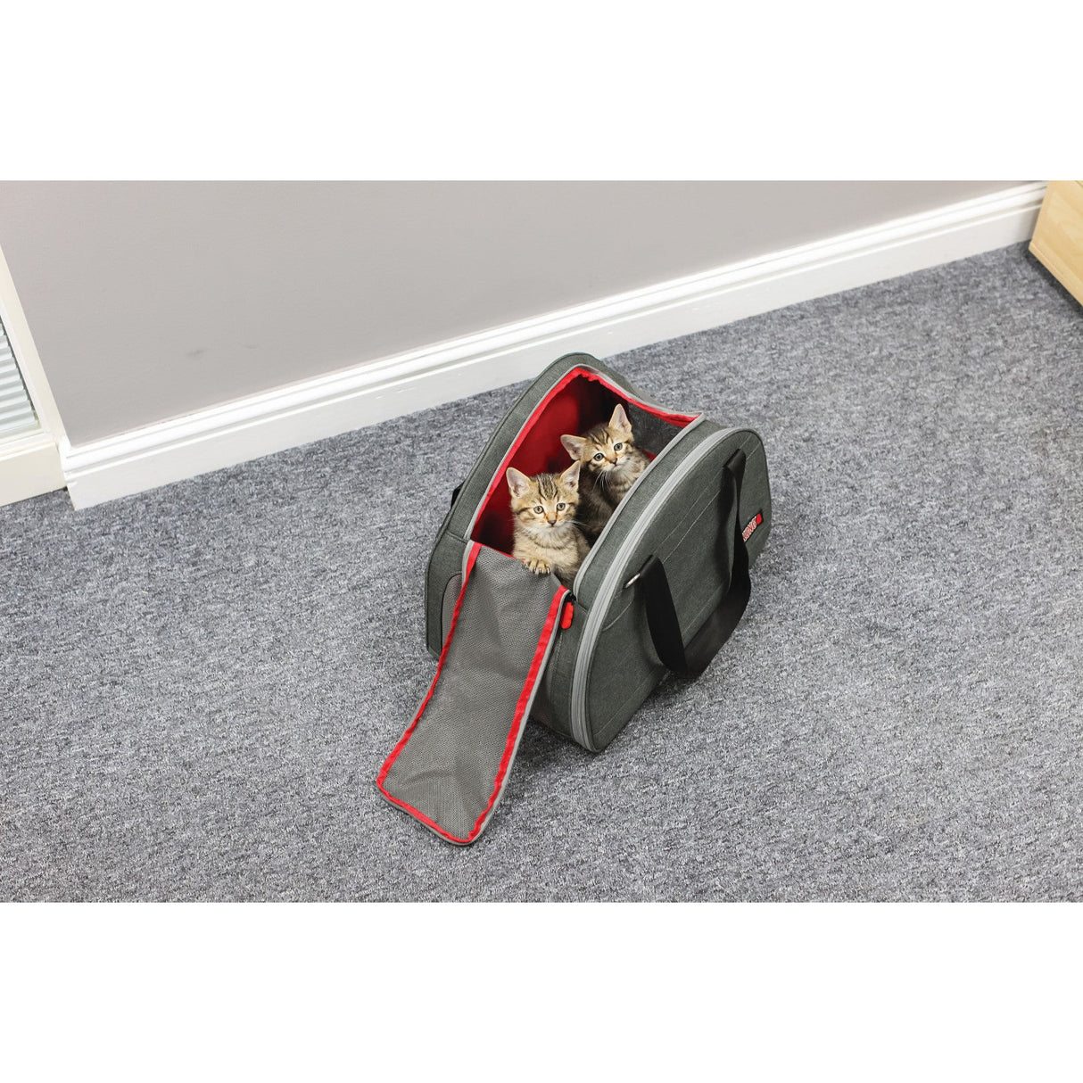 KONG 2-in-1 Travel Bag and Mat
