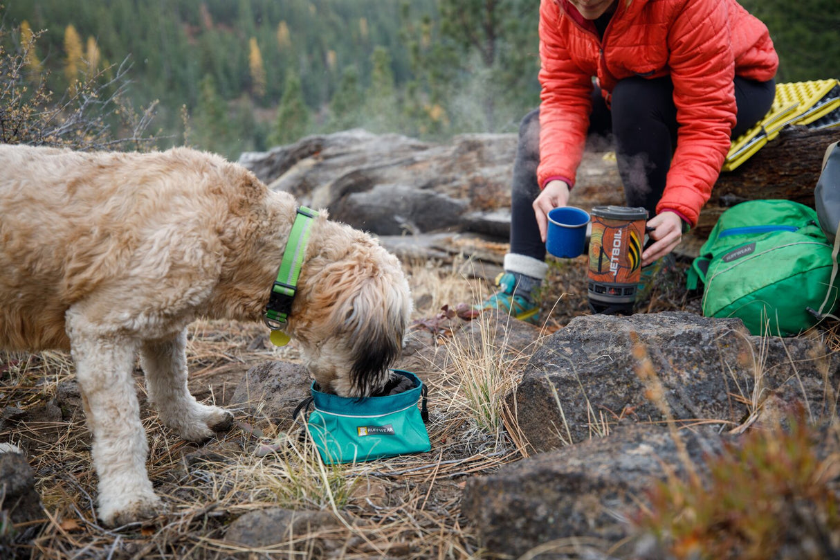 Ruffwear Quencher travel bowl for food and water