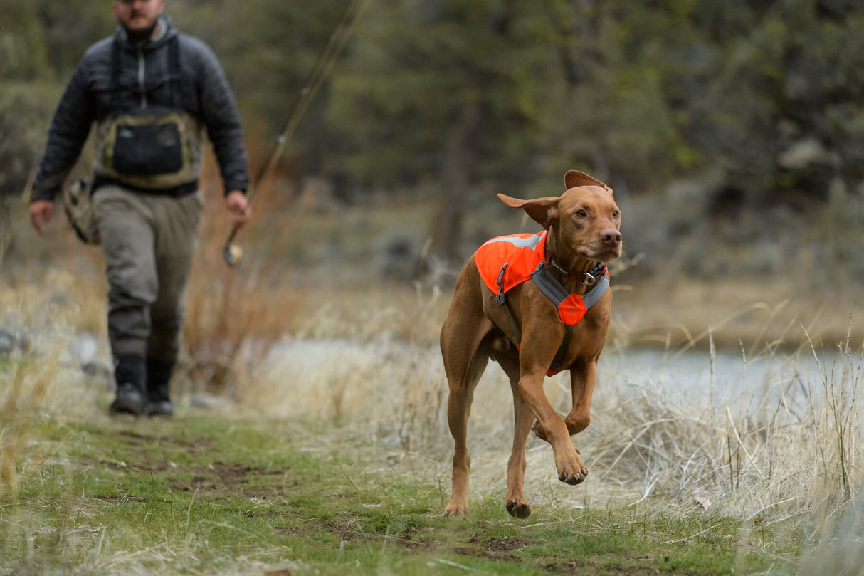 Bright reflective vest "Ruffwear Track Jacket"