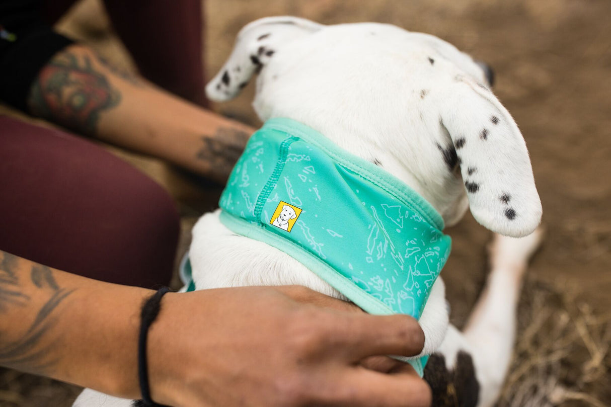 Cooling neck gaiter for dogs "Ruffwear Swamp Cooler"
