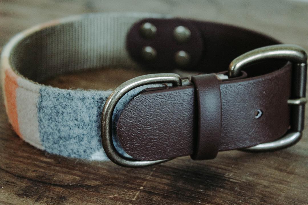 Collar "Moose Wears Olympic"