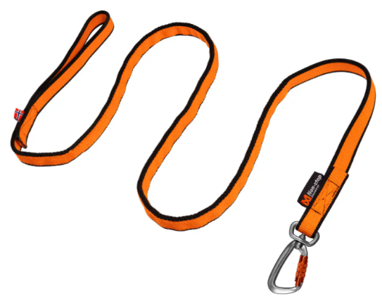 Non-Stop Bungee Leash