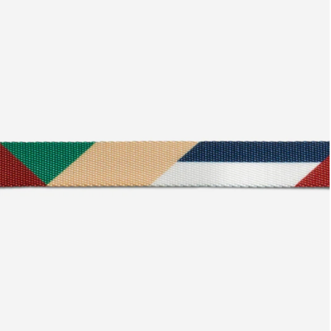 Harness with leash "Zee.Cat Pacco"