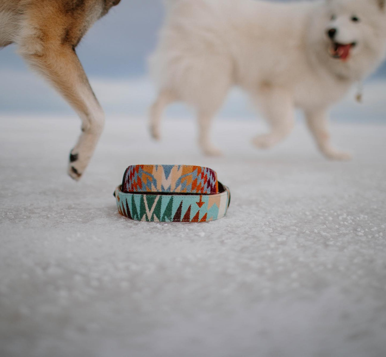 Moose Wears