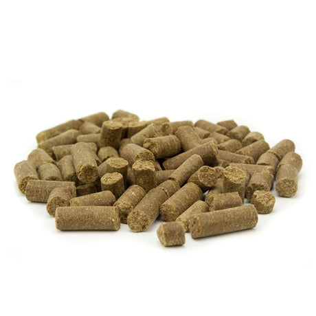 Tribal Fresh Pressed Cold Pressed Dry Food for Adult Dogs with Turkey