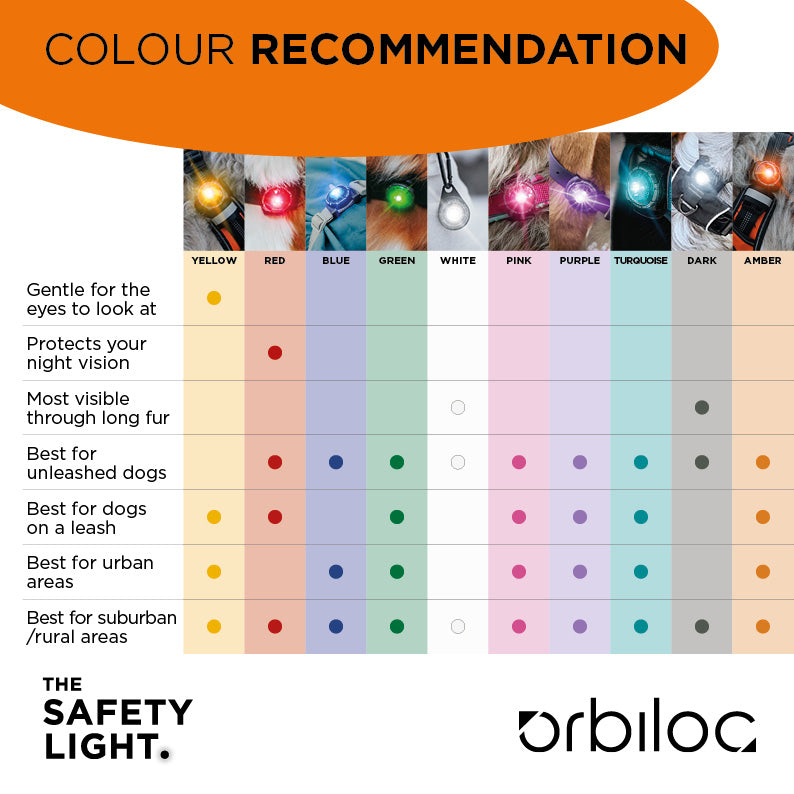 LED safety light for dogs "Orbiloc Dog Dual"