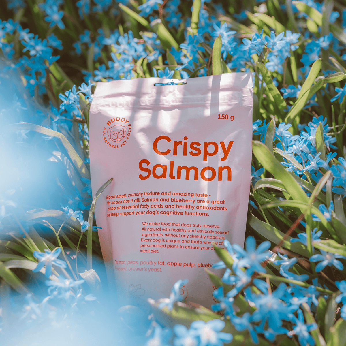 Skanėstai šunims su lašiša ir mėlynėmis Buddy Crispy Salmon