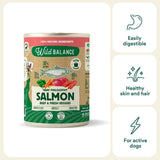 Wild Balance Wet Food for Dogs with Salmon and Beef