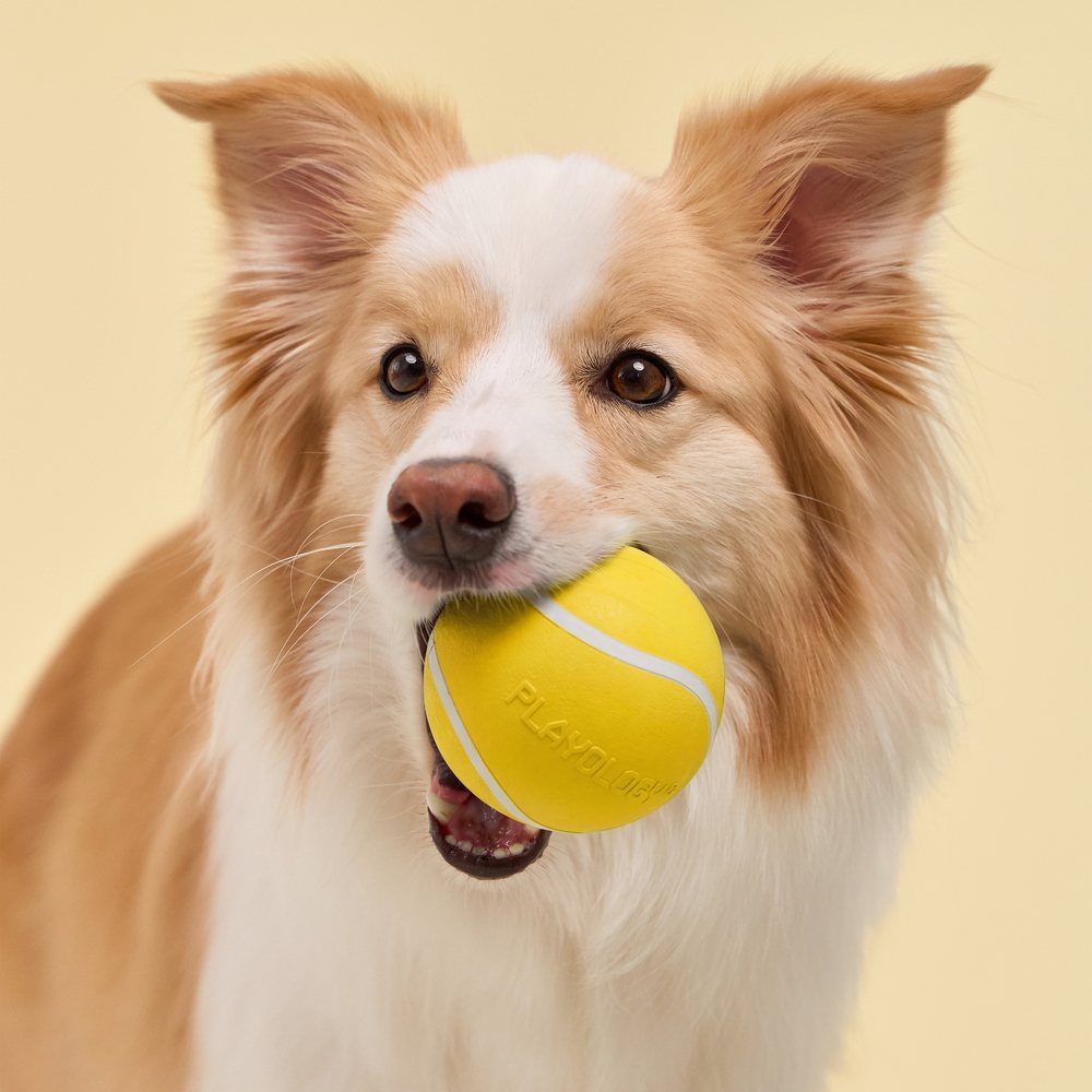Kamuoliukas šunims su natūraliu kvapu "Playology Squeaky Chew Ball"