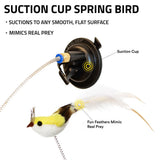 Paukštis su siurbtuku katėms "Playology Suction Cup Spring Bird"