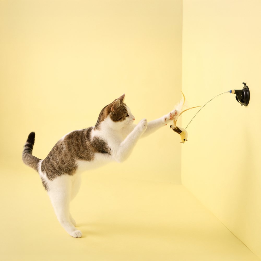 Paukštis su siurbtuku katėms "Playology Suction Cup Spring Bird"