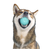 Kamuoliukas šunims su natūraliu kvapu "Playology Spikey Squeaky Chew Ball"