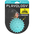 Kamuoliukas šunims su natūraliu kvapu "Playology Spikey Squeaky Chew Ball"