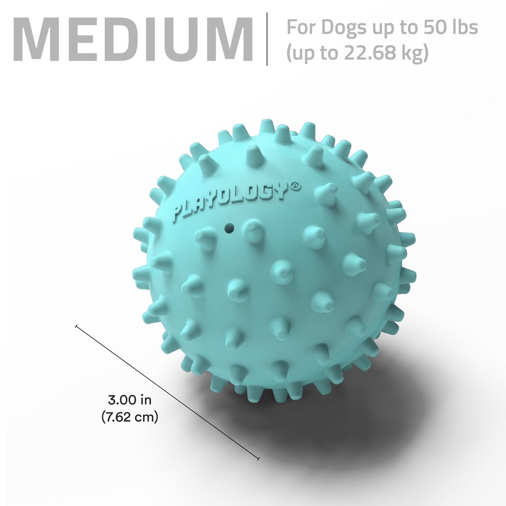 Kamuoliukas šunims su natūraliu kvapu "Playology Spikey Squeaky Chew Ball"