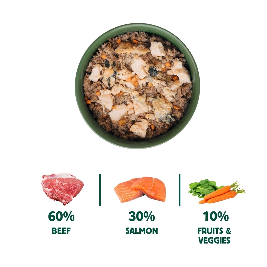 Wild Balance Wet Food for Dogs with Salmon and Beef