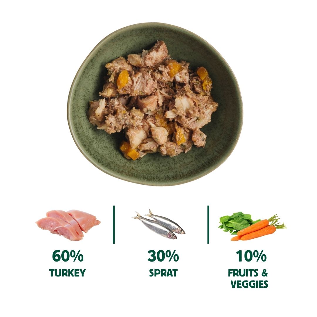 Wild Balance Wet Dog Food with Wild Fish and Turkey
